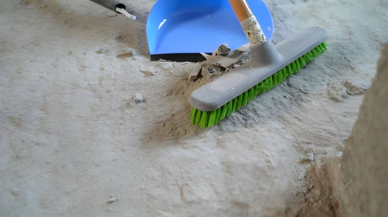Green Post Construction Cleaning Solutions for Millburn Projects Homeowner's Guide to Cleaning