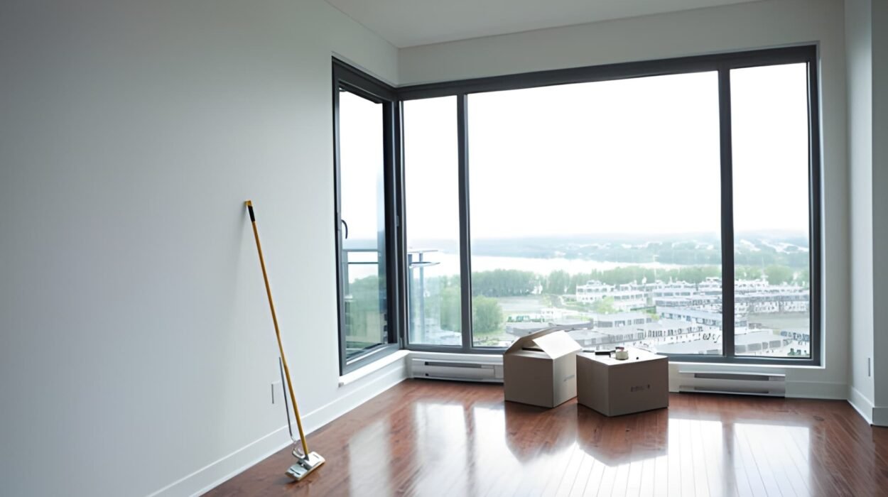 preparing your bloomfield home for move out cleaning clean rental